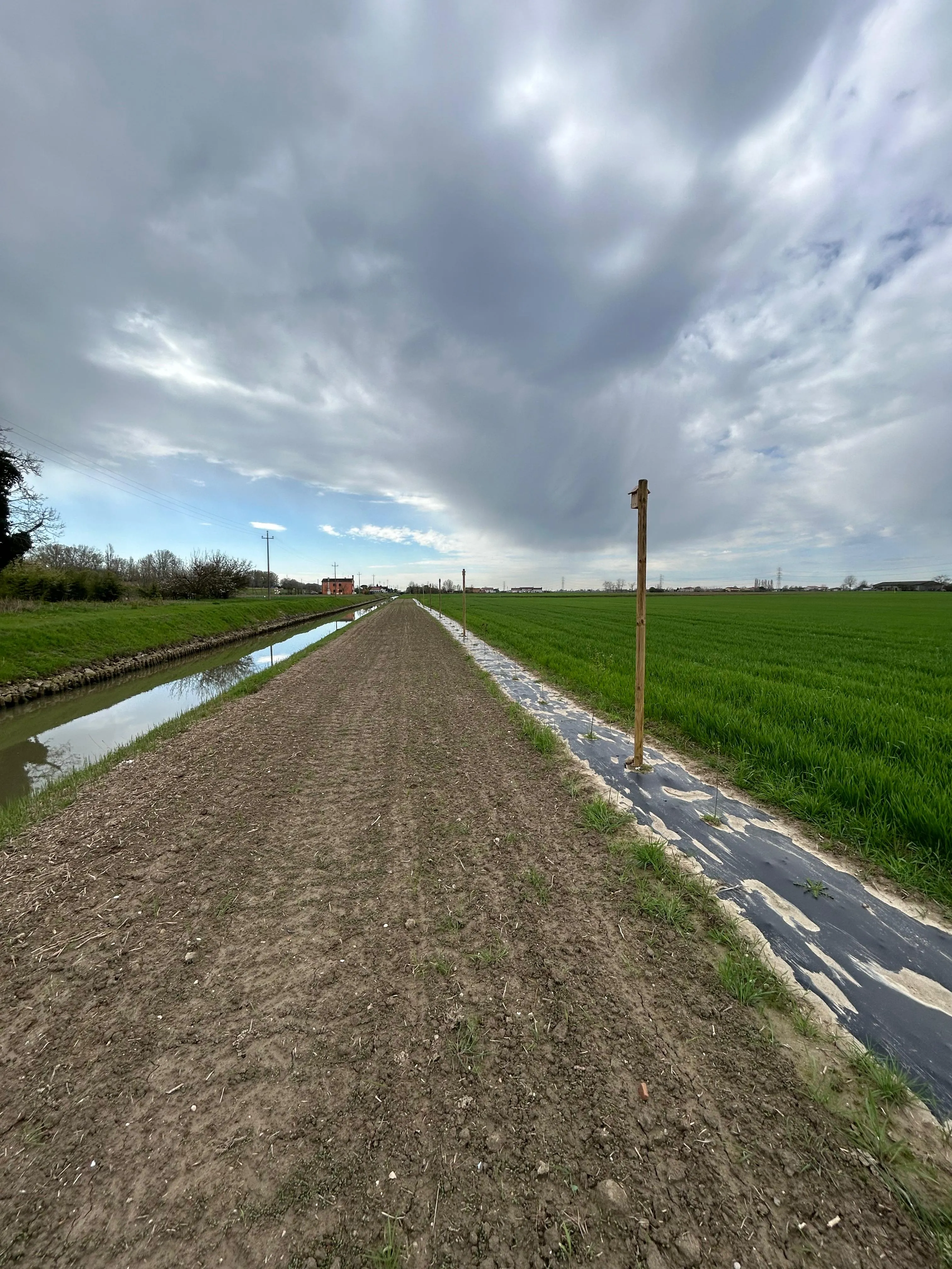 CSR: Progetto Collettivo per la sostenibilità ambientale in agricoltura