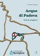 Acque di Padova. Nodi da sciogliere.
