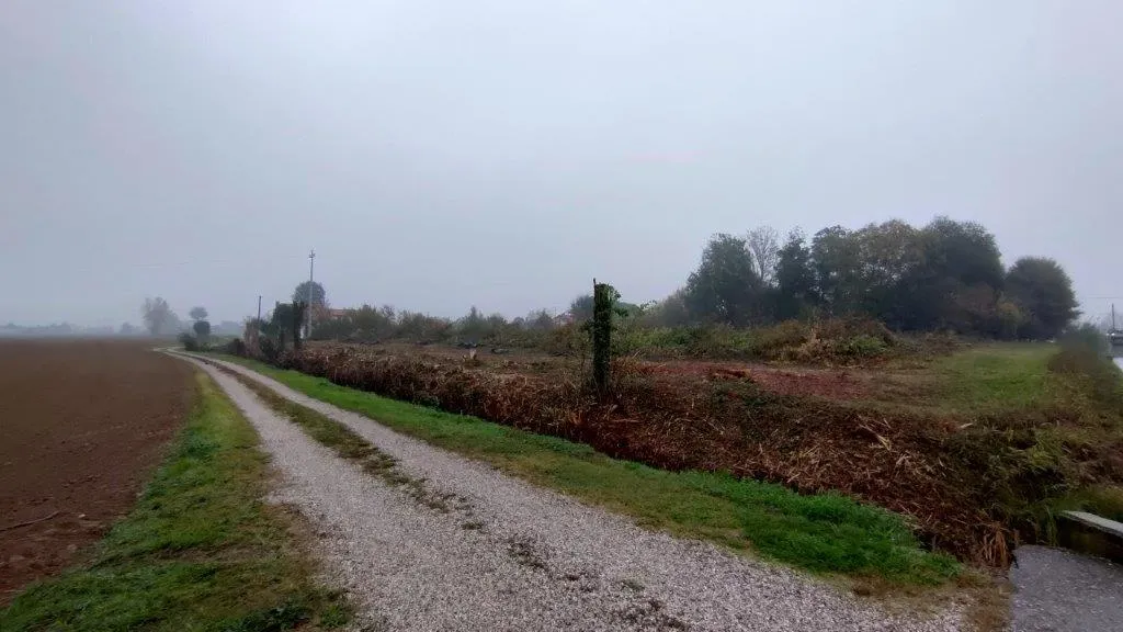 Collettore Carpanedo – Sabbioni: lavori al via con il nuovo anno.
Un intervento atteso da tempo per aumentare la sicurezza idraulica nei comuni di Albignasego e Maserà