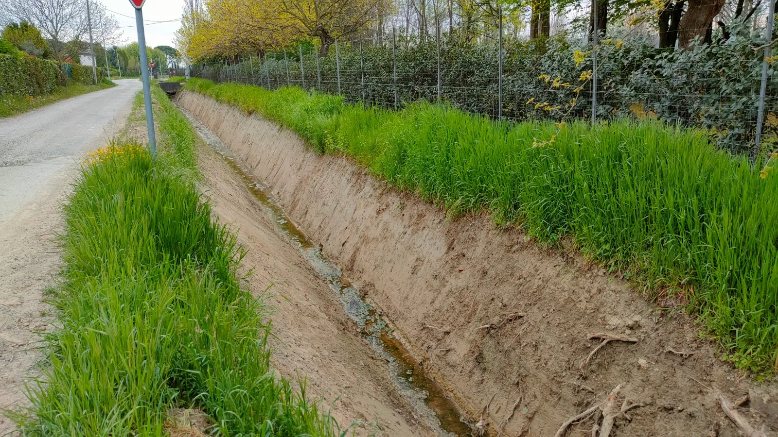 Abano Terme: intervento di sistemazione della maglia idraulica territoriale