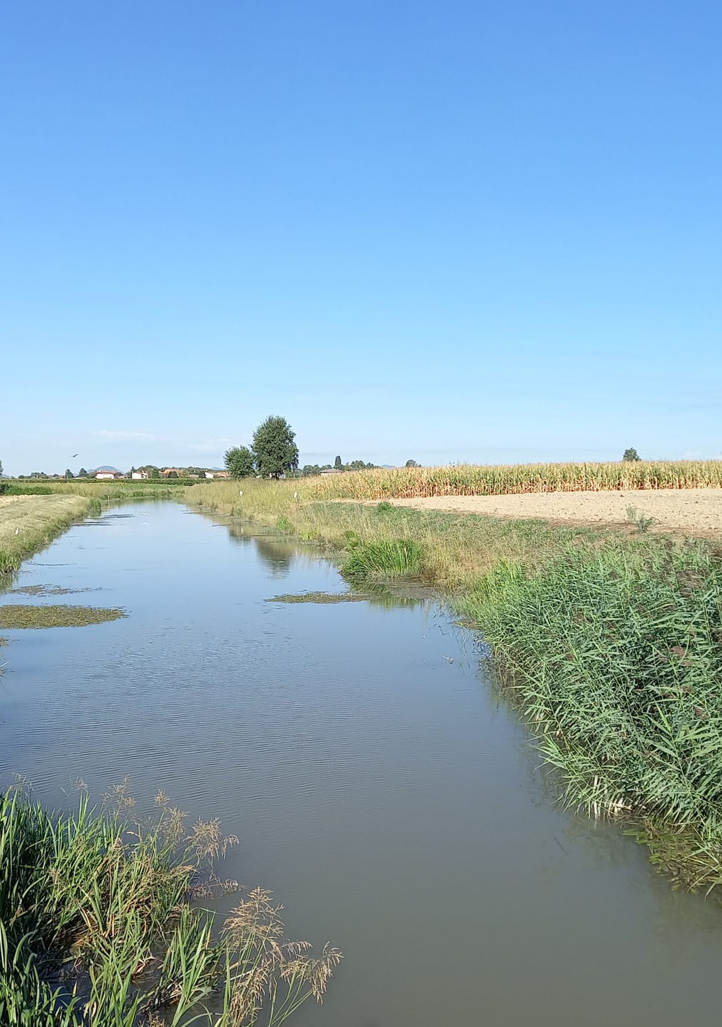 Manutenzione gentile: conclusa la prima fase di formazione 
Il Consorzio Bacchiglione è pronto a dare il via alla gestione ambientale dei corsi d’acqua